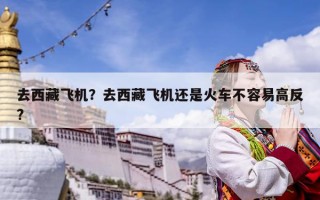 去西藏飛機(jī)？去西藏飛機(jī)還是火車不容易高反?