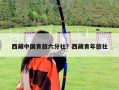 西藏中國(guó)青旅六分社？西藏青年旅社
