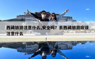 西藏旅游注意什么,安全嗎？去西藏旅游應該注意什么