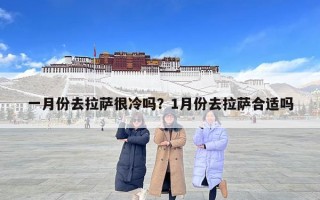 一月份去拉薩很冷嗎？1月份去拉薩合適嗎