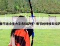 春節(jié)適合坐火車去拉薩嗎？春節(jié)的時候去拉薩