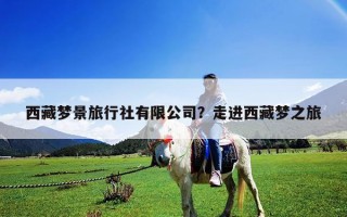 西藏夢景旅行社有限公司？走進西藏夢之旅