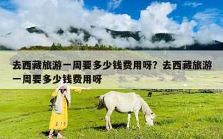 去西藏旅游一周要多少錢(qián)費(fèi)用呀？去西藏旅游一周要多少錢(qián)費(fèi)用呀
