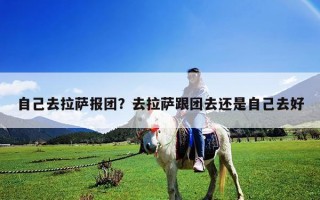 自己去拉薩報團？去拉薩跟團去還是自己去好