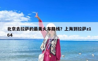 北京去拉薩的最美火車路線？上海到拉薩z164