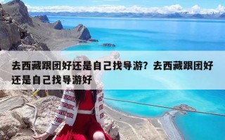 去西藏跟團(tuán)好還是自己找導(dǎo)游？去西藏跟團(tuán)好還是自己找導(dǎo)游好