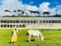 西藏旅游攻略3月份去合適？三月份西藏旅游需要準備什么東西