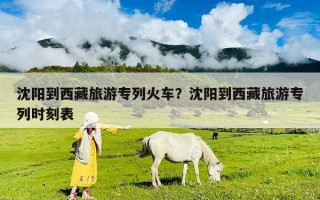 沈陽到西藏旅游專列火車？沈陽到西藏旅游專列時刻表