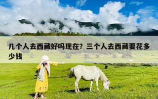 幾個人去西藏好嗎現在？三個人去西藏要花多少錢