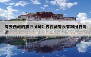 有去西藏的旅行團(tuán)嗎？去西藏有沒有跟團(tuán)自駕游