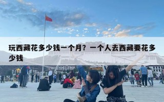 玩西藏花多少錢一個月？一個人去西藏要花多少錢