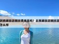 到西藏旅游跟團(tuán)費(fèi)用高嗎？去西藏旅游跟團(tuán)游怎么樣