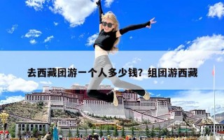 去西藏團(tuán)游一個人多少錢？組團(tuán)游西藏