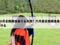 6月去西藏準備什么東西？六月底去西藏準備什么