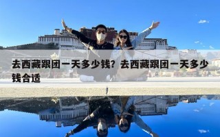 去西藏跟團(tuán)一天多少錢？去西藏跟團(tuán)一天多少錢合適