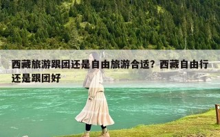 西藏旅游跟團(tuán)還是自由旅游合適？西藏自由行還是跟團(tuán)好