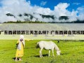 廣東西藏旅游三天怎么樣？廣東西藏自駕線路