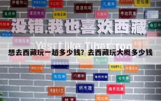 想去西藏玩一趟多少錢？去西藏玩大概多少錢