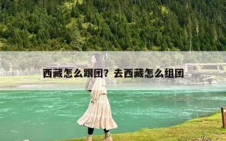 西藏怎么跟團？去西藏怎么組團