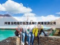 阿里當(dāng)?shù)芈眯猩缭趺礃樱堪⒗锫糜喂? class=