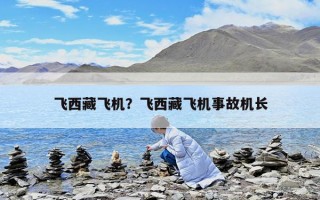飛西藏飛機？飛西藏飛機事故機長