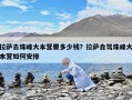 拉薩去珠峰大本營要多少錢？拉薩自駕珠峰大本營如何安排