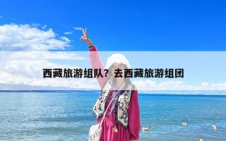 西藏旅游組隊(duì)？去西藏旅游組團(tuán)