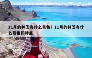 11月的林芝有什么景色？11月的林芝有什么景色和特點