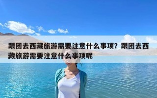 跟團去西藏旅游需要注意什么事項？跟團去西藏旅游需要注意什么事項呢
