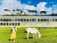 去西藏玩一個月費用多少錢？去西藏玩一個月費用多少錢正常