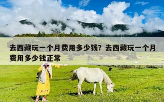 去西藏玩一個月費用多少錢？去西藏玩一個月費用多少錢正常