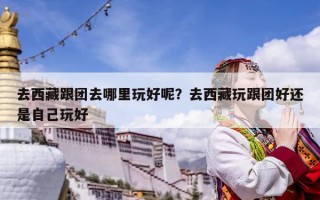 去西藏跟團(tuán)去哪里玩好呢？去西藏玩跟團(tuán)好還是自己玩好