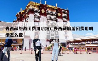 去西藏旅游團費用明細？去西藏旅游團費用明細怎么查