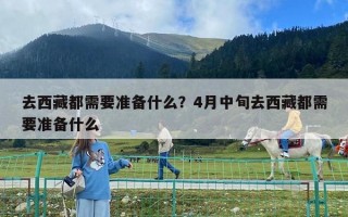 去西藏都需要準(zhǔn)備什么？4月中旬去西藏都需要準(zhǔn)備什么