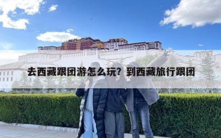 去西藏跟團游怎么玩？到西藏旅行跟團