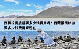 西藏報團旅游要多少錢費用呀？西藏報團旅游要多少錢費用呀現在