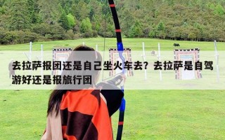 去拉薩報團還是自己坐火車去？去拉薩是自駕游好還是報旅行團
