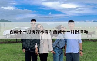 西藏十一月份冷不冷？西藏十一月份冷嗎