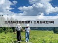 三月去林芝拍照圖片？三月去林芝冷嗎