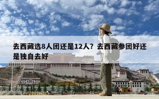 去西藏選8人團(tuán)還是12人？去西藏參團(tuán)好還是獨(dú)自去好