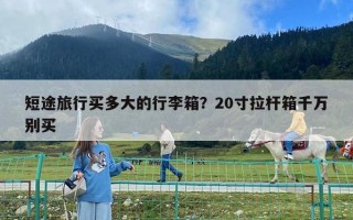 短途旅行買多大的行李箱？20寸拉桿箱千萬別買