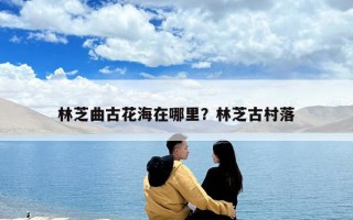 林芝曲古花海在哪里？林芝古村落