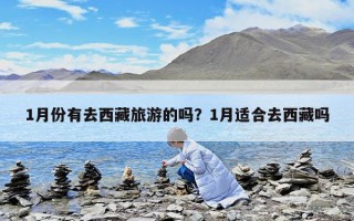 1月份有去西藏旅游的嗎？1月適合去西藏嗎