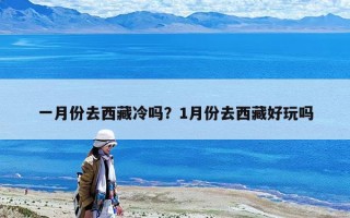 一月份去西藏冷嗎？1月份去西藏好玩嗎