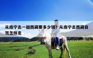 從南寧去一趟西藏要多少錢？從南寧去西藏自駕怎樣走