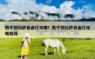 西寧到拉薩自由行攻略？西寧到拉薩自由行攻略路線
