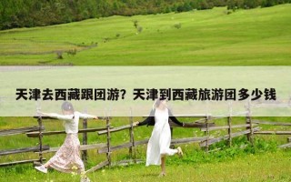 天津去西藏跟團游？天津到西藏旅游團多少錢