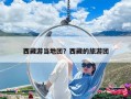 西藏游當(dāng)?shù)貓F(tuán)？西藏的旅游團(tuán)