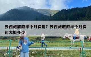 去西藏旅游半個月費用？去西藏旅游半個月費用大概多少