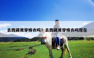 去西藏用穿棉衣嗎？去西藏用穿棉衣嗎現在